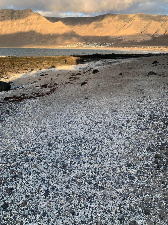 El Puertito By Tor Apartman Teguise  Kültér fotó
